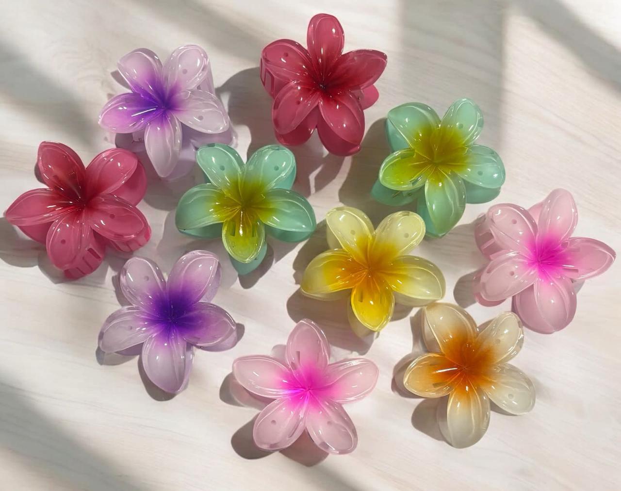 Trending Korean dual shade hair clips product code 1024