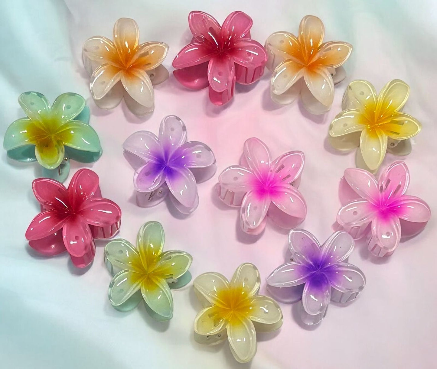 Trending Korean dual shade hair clips product code 1024